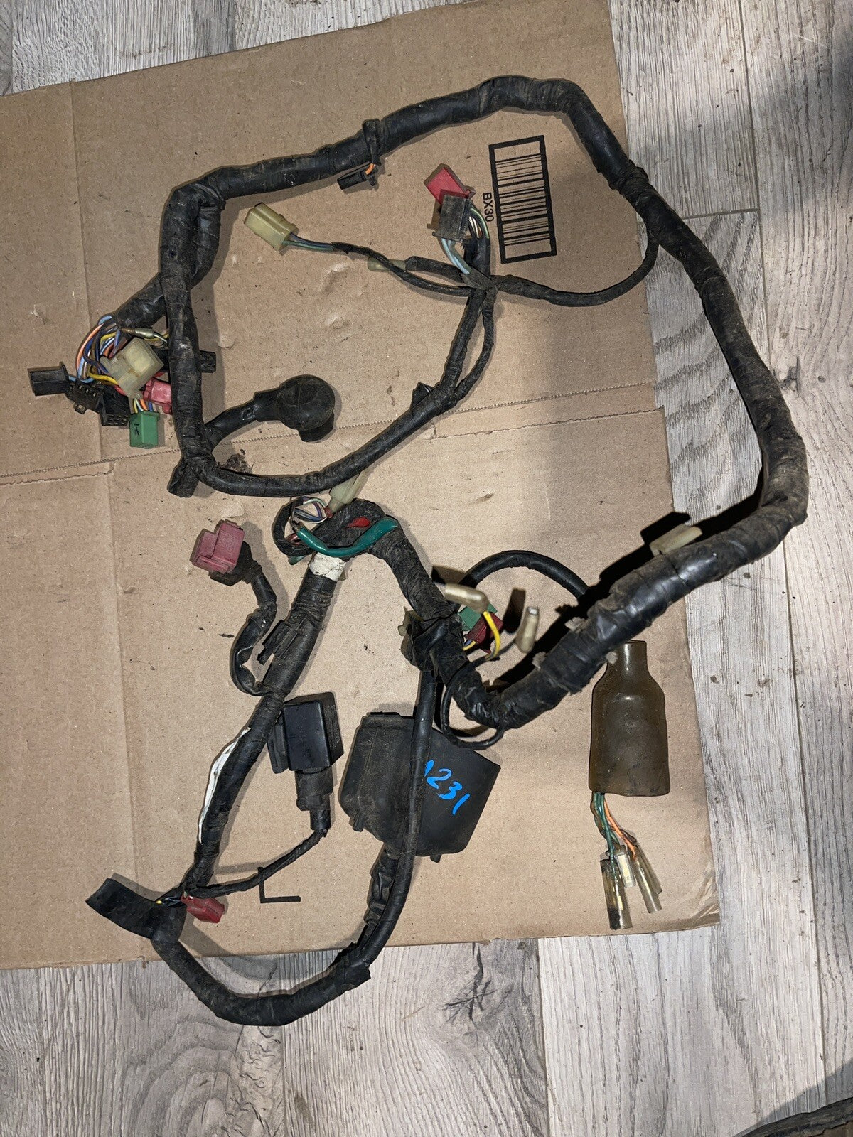 1988 Honda CBR600F Main Wire Harness