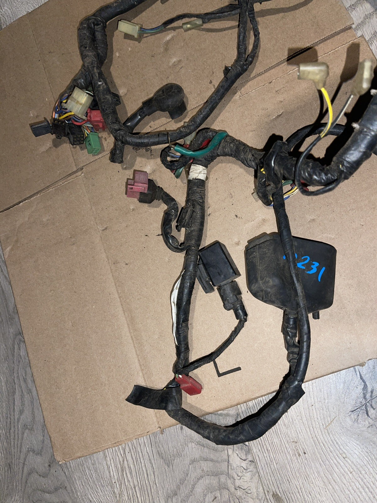 1988 Honda CBR600F Main Wire Harness