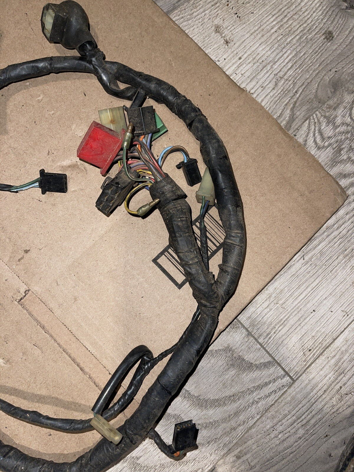 1988 Honda CBR600F Main Wire Harness