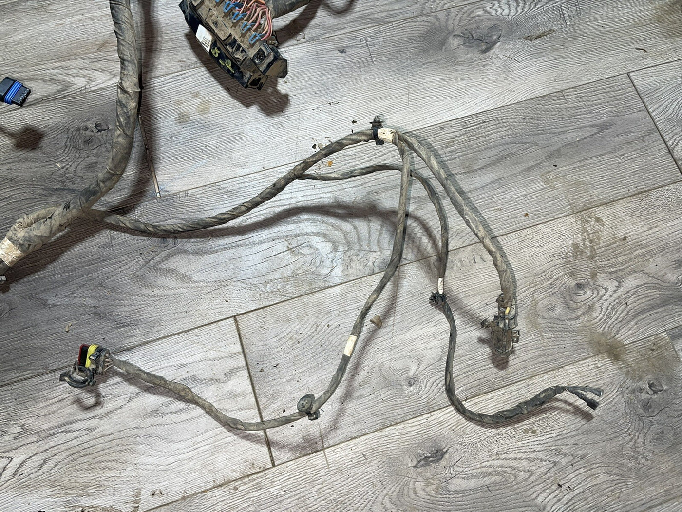 Polaris General 1000 EPS 18 Wiring Harness Main Chassis 2413873 NO CUTS