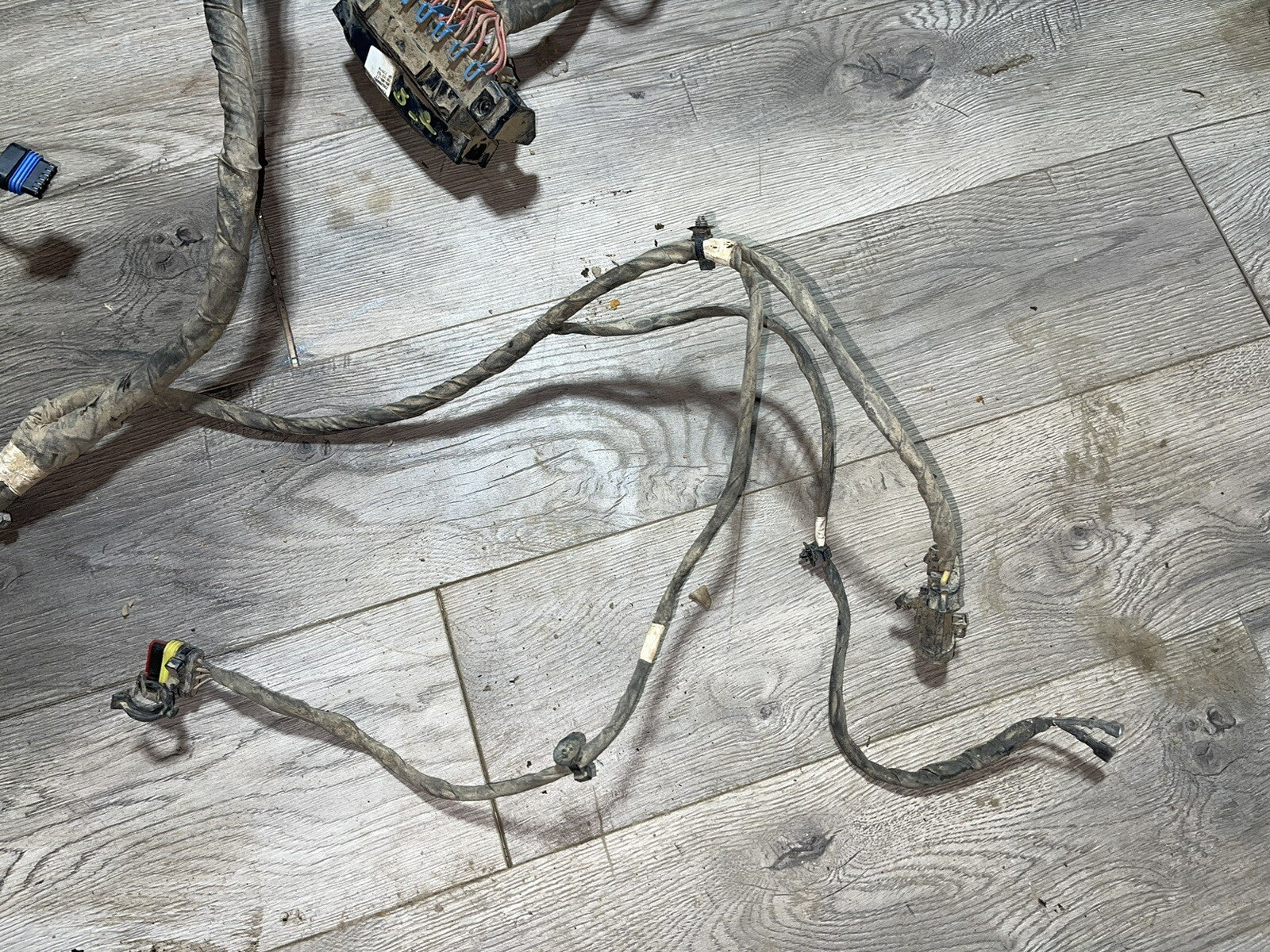 Polaris General 1000 EPS 18 Wiring Harness Main Chassis 2413873 NO CUTS