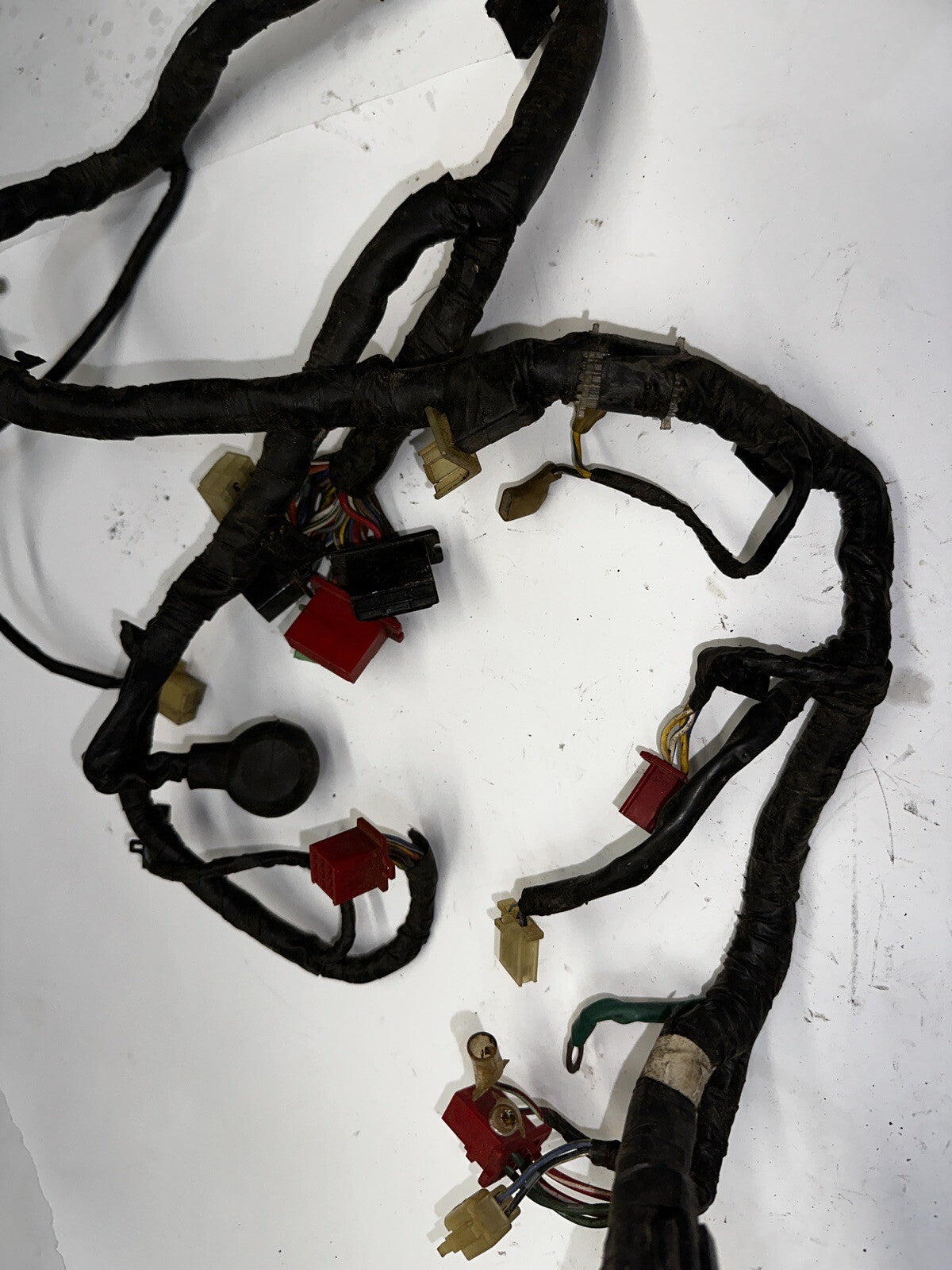 1988 Honda CBR600F Main Wire Harness