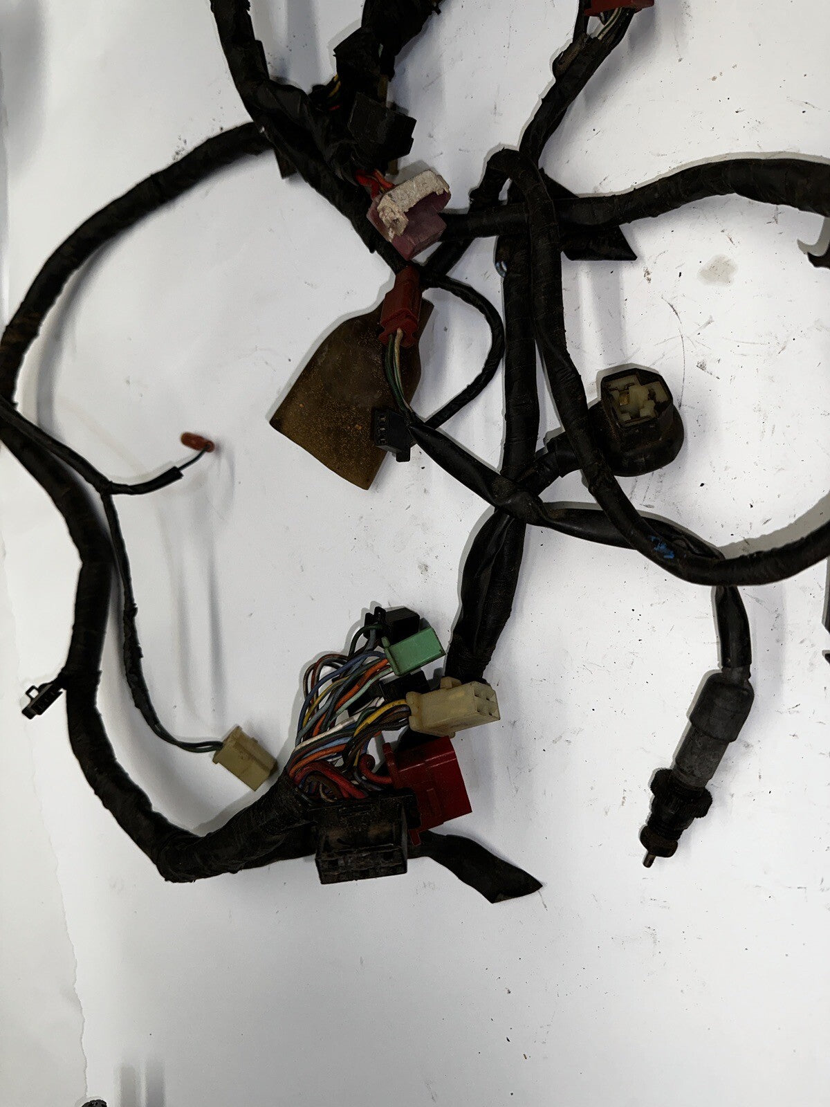 1988 Honda CBR600F Main Wire Harness