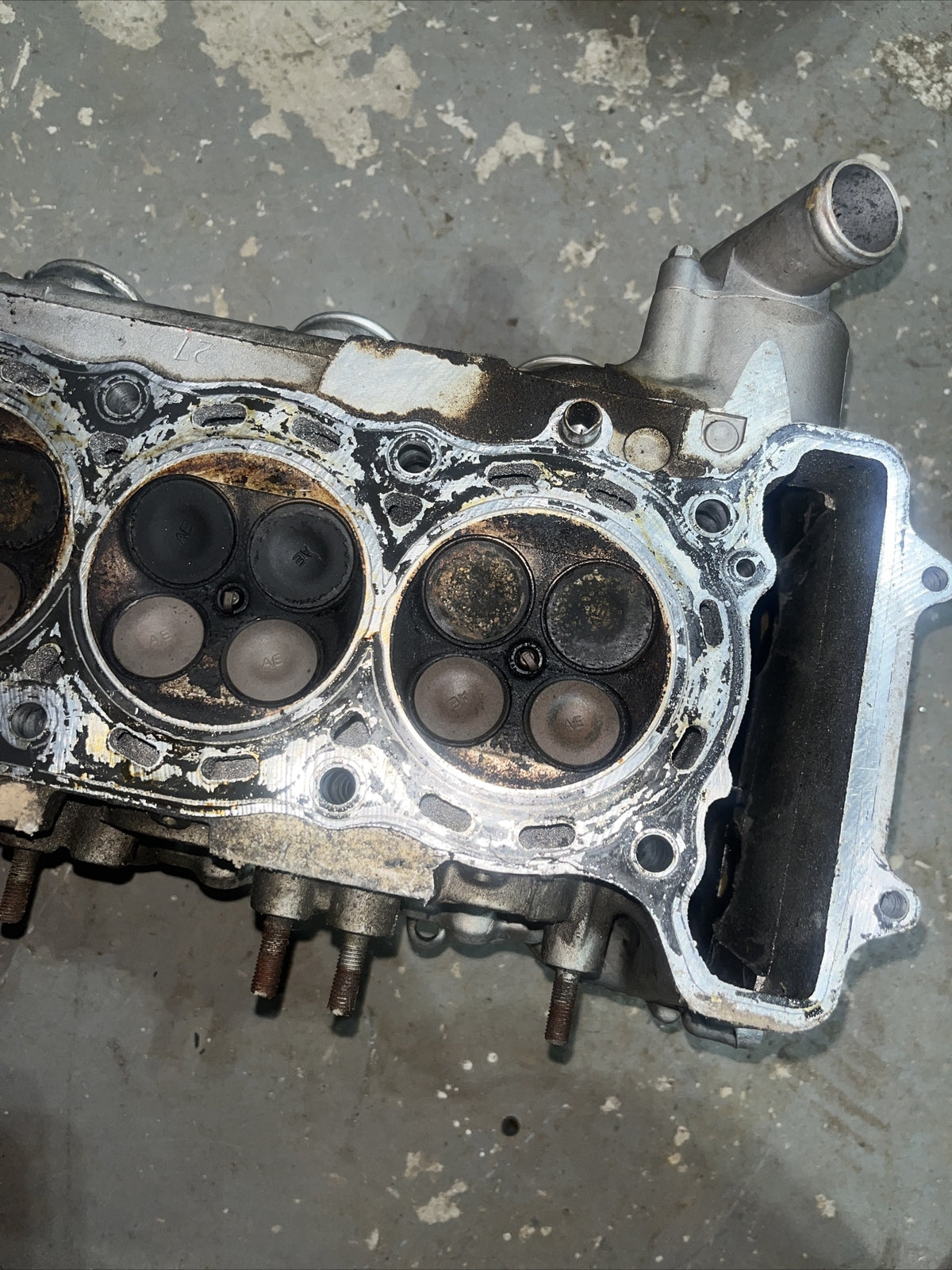 1995 HONDA CBR900 CYLINDER HEAD W/ VALVES CBR 600
