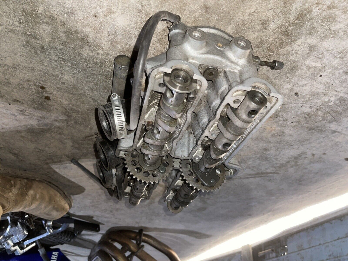 01 Yamaha Fz6 Engine Top End Cylinder Head OEM