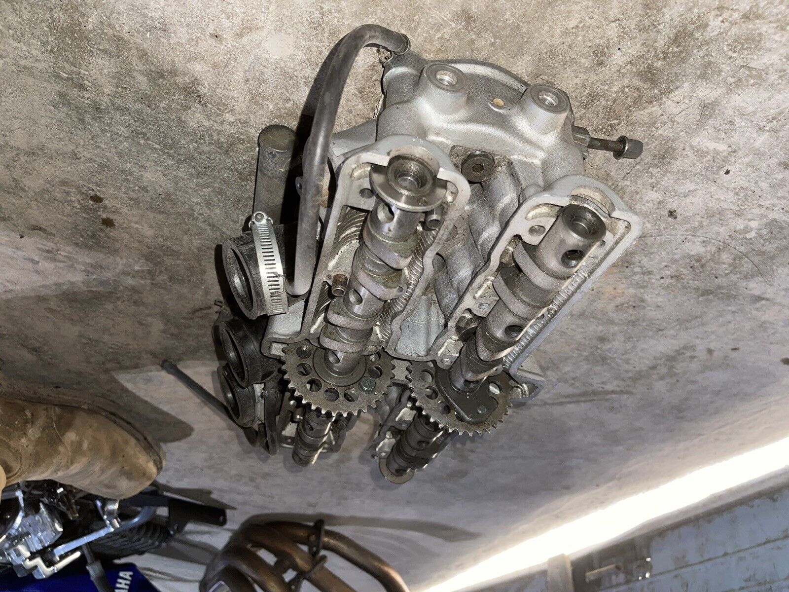 01 Yamaha Fz6 Engine Top End Cylinder Head OEM