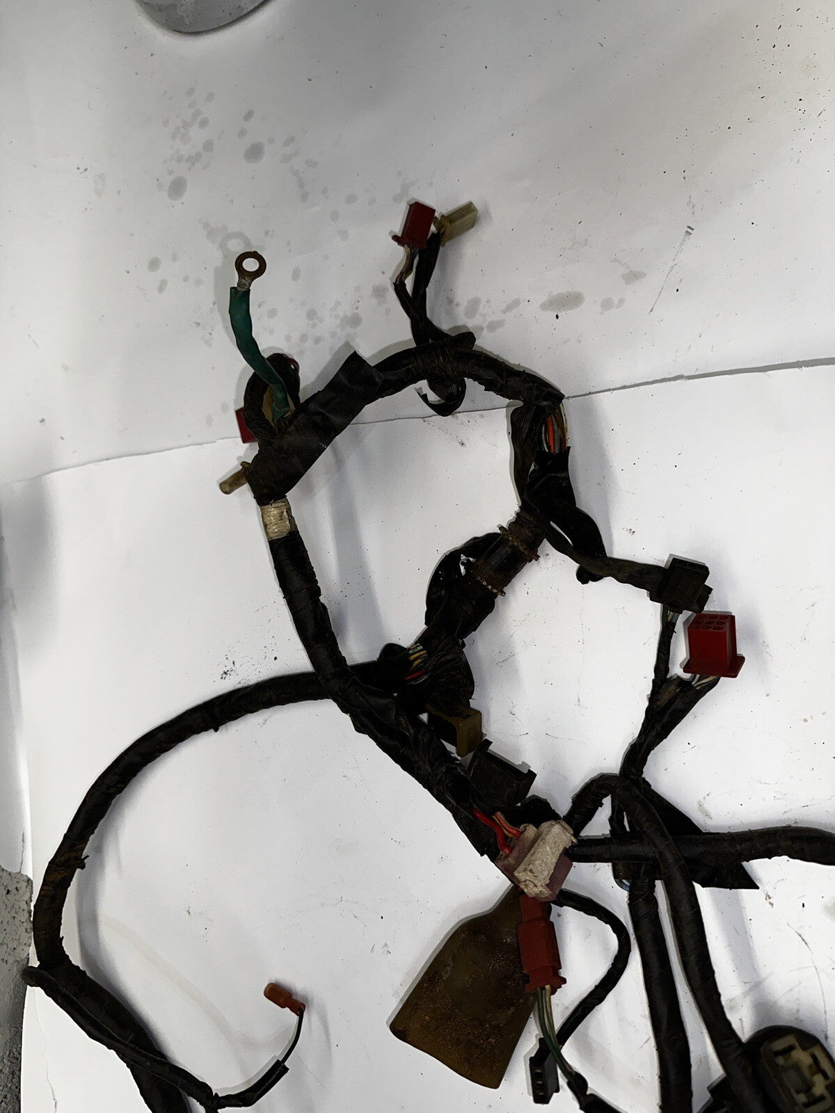1988 Honda CBR600F Main Wire Harness