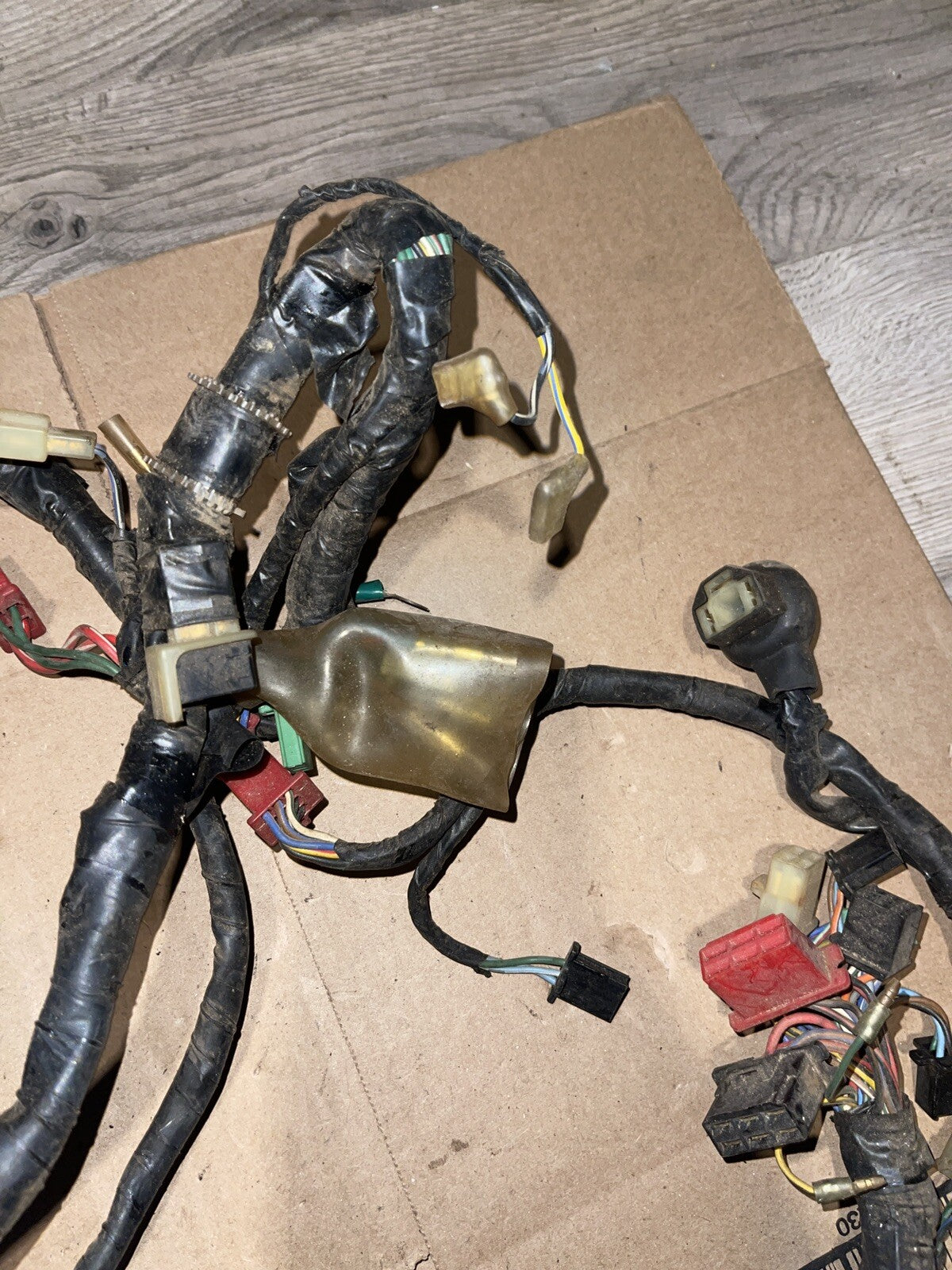 1988 Honda CBR600F Main Wire Harness