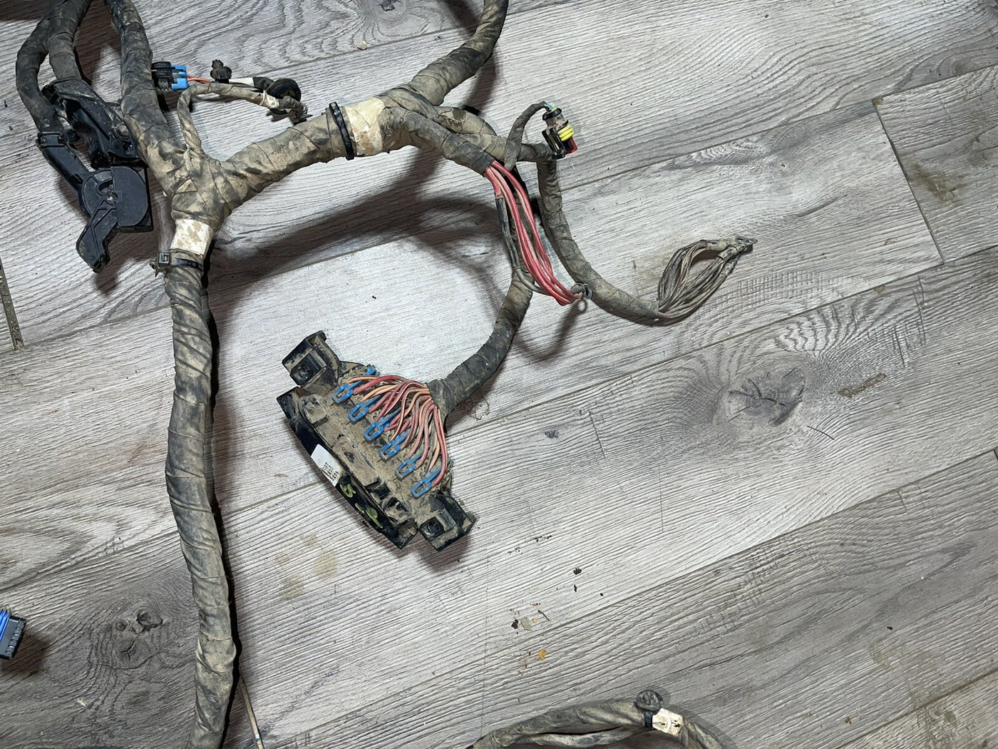 Polaris General 1000 EPS 18 Wiring Harness Main Chassis 2413873 NO CUTS