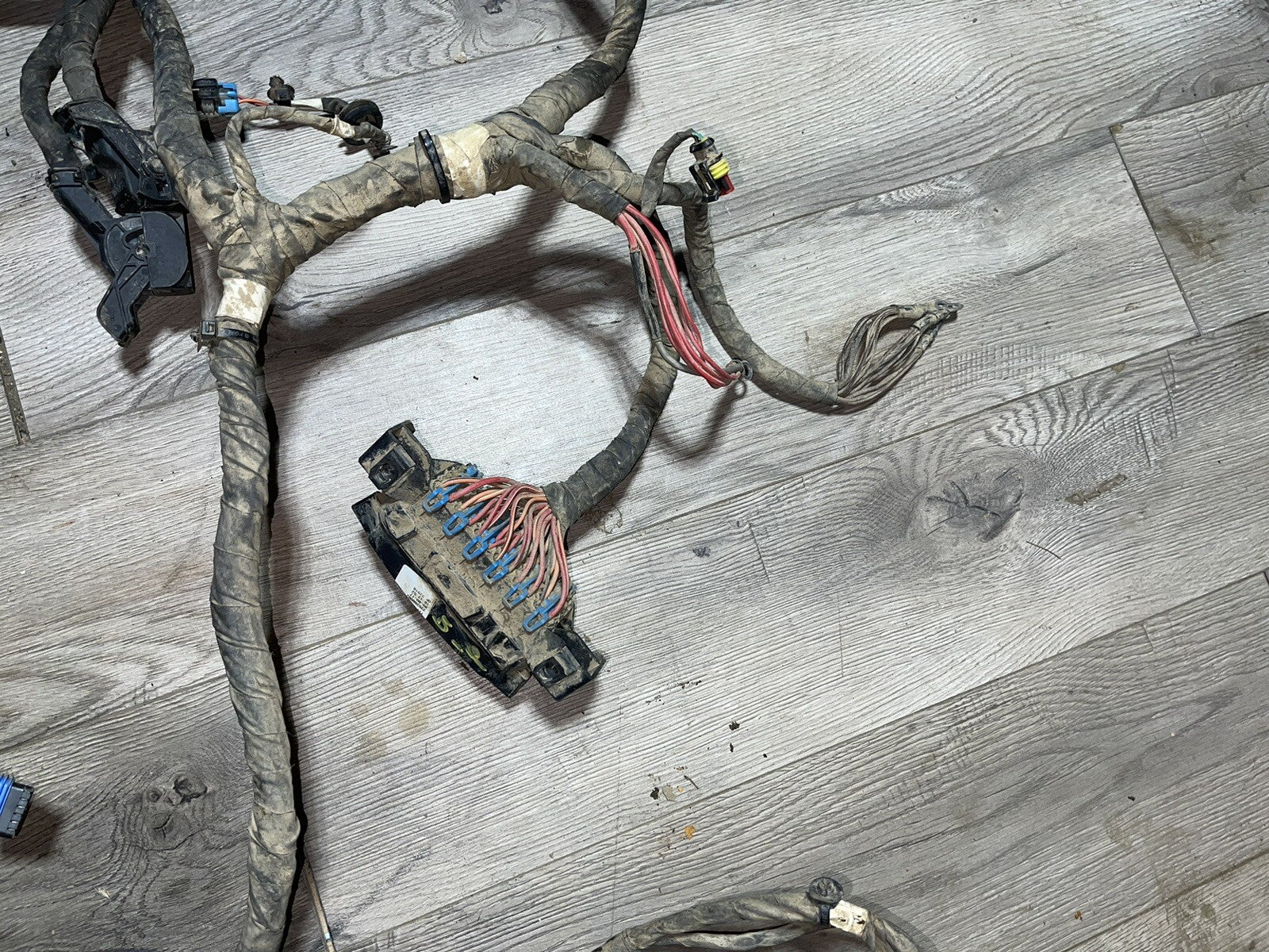 Polaris General 1000 EPS 18 Wiring Harness Main Chassis 2413873 NO CUTS