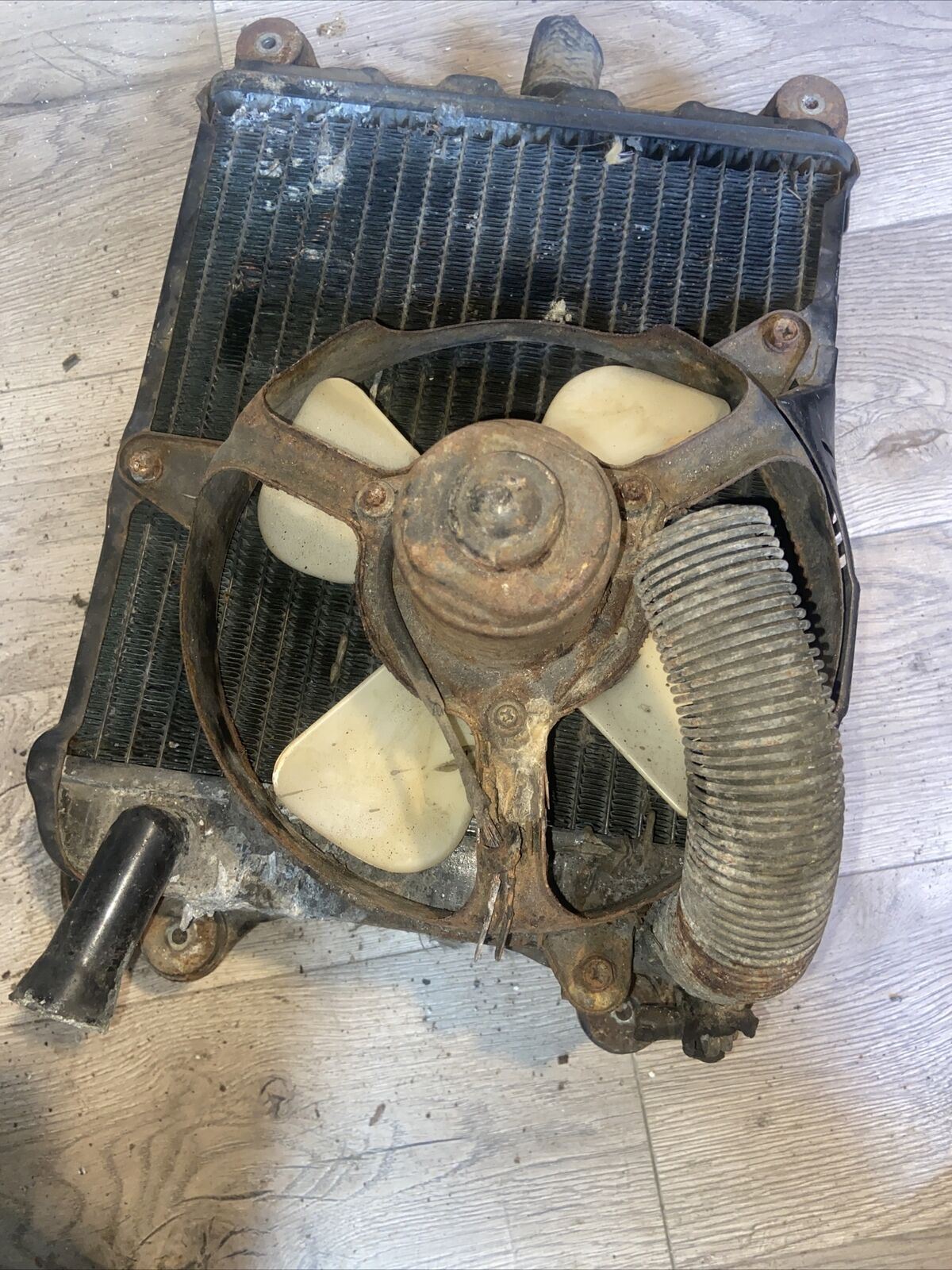 1977 Honda Goldwing GL1000 radiator with cap