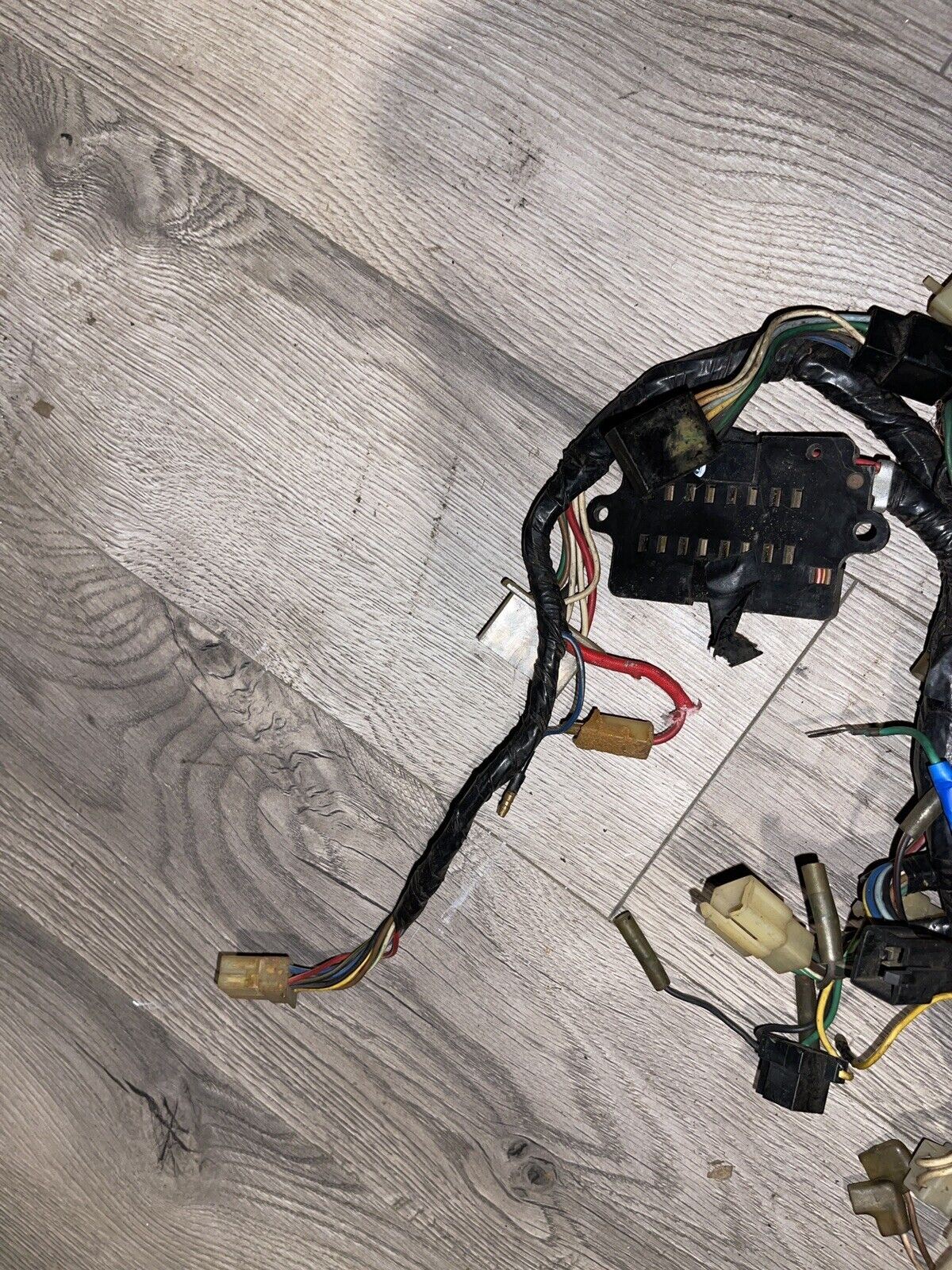 1988 fzr 600 wiring harness