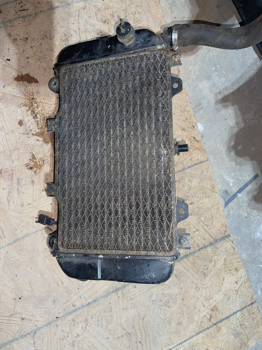 1996-98 KAWASAKI NINJA ZX6R ZX600 F3 (#300) RADIATOR WITH FAN